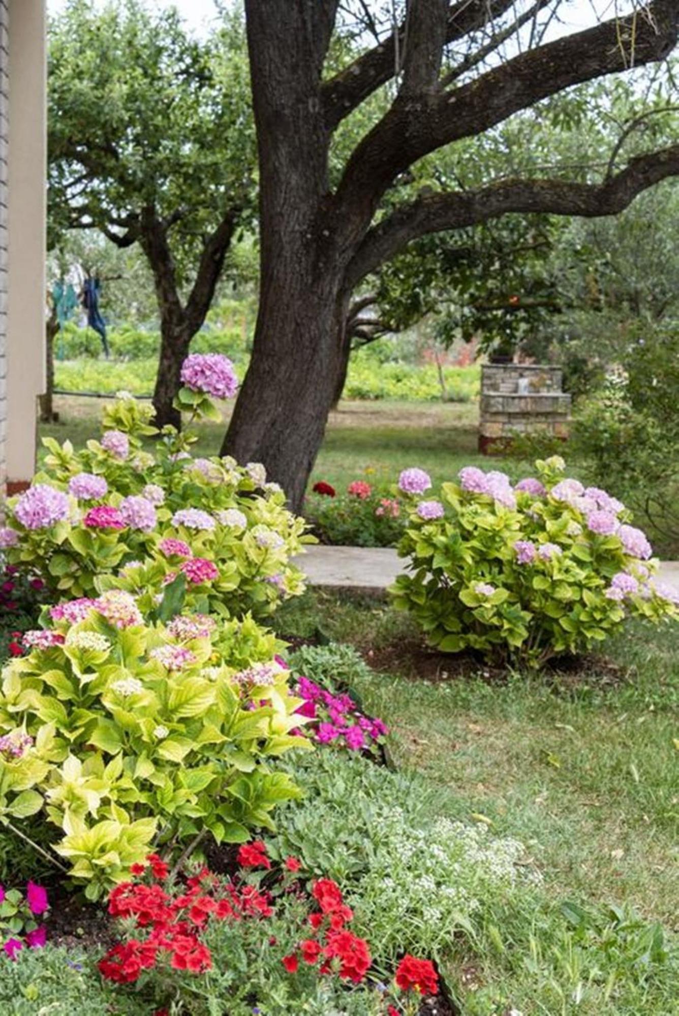 Flower Garden Rhapsody - Modern Family Apartments Near Fazana Exterior photo